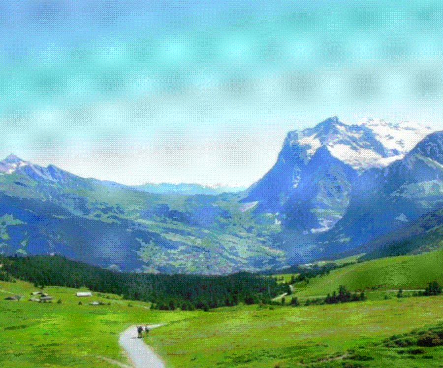 Ŭ���Ͻø� ���� ũ���� �̹����� ���� �� �ֽ��ϴ�.