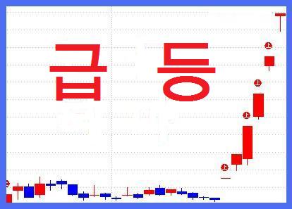 보성유화 이미지